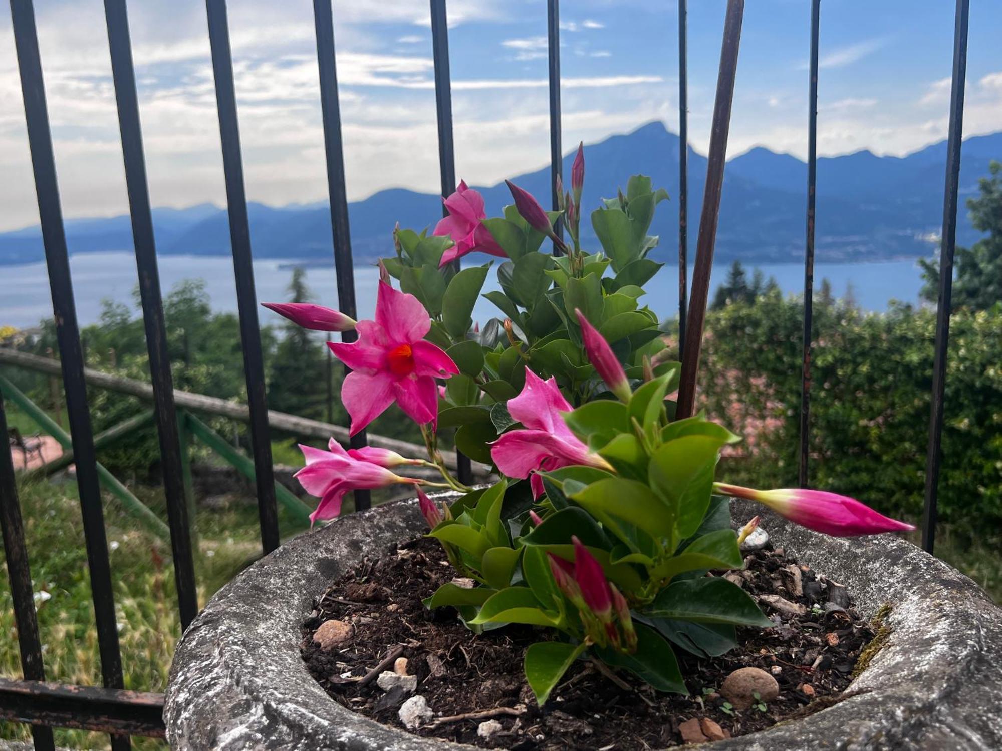 Nuovi Appartamenti Neli San Zeno di Montagna Exterior foto